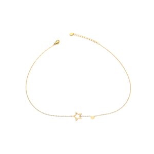 Collar dorada con estrella