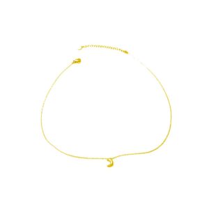 Cadena dorado con luna